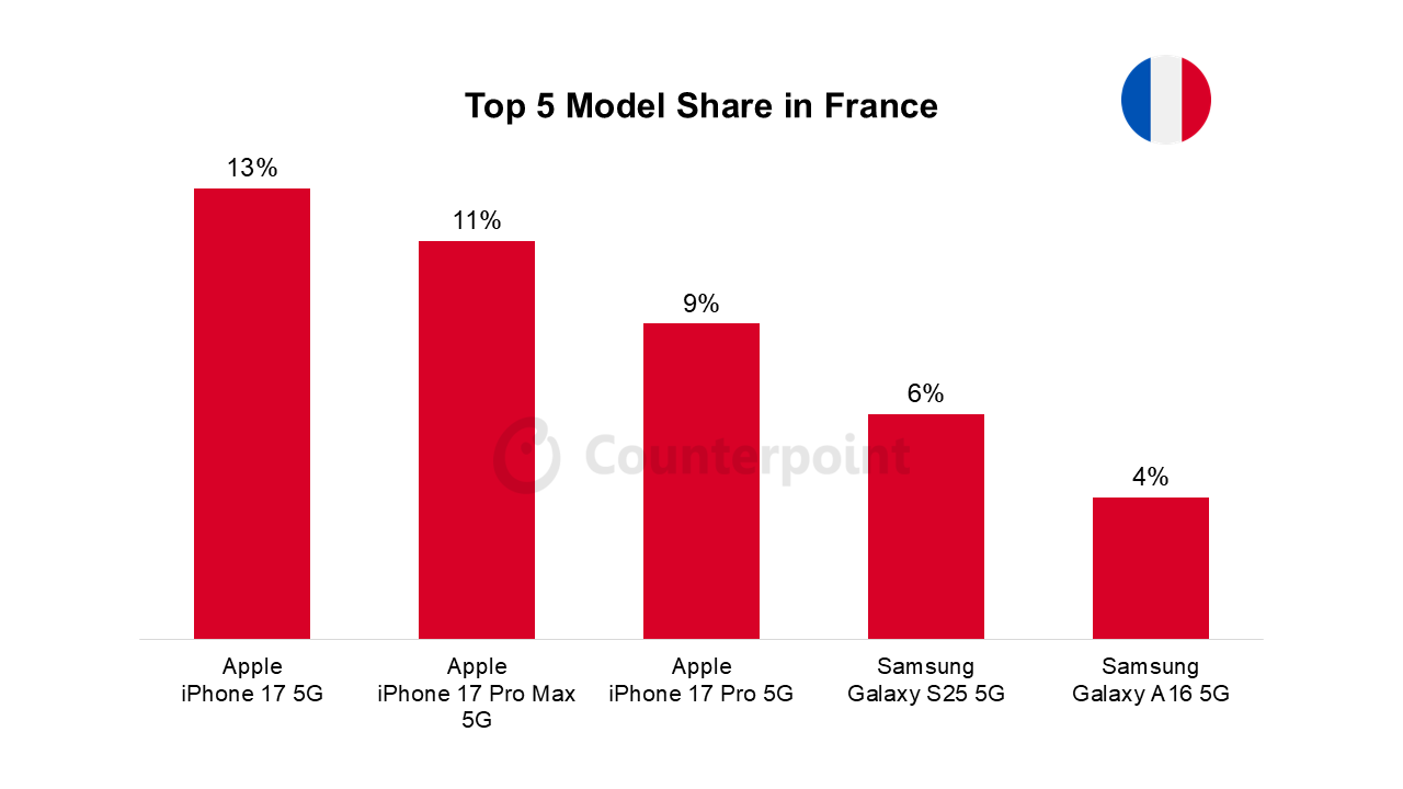 Top 5 Model Share in France