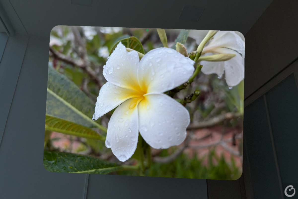 counterpoint research apple vision pro review spatial photos